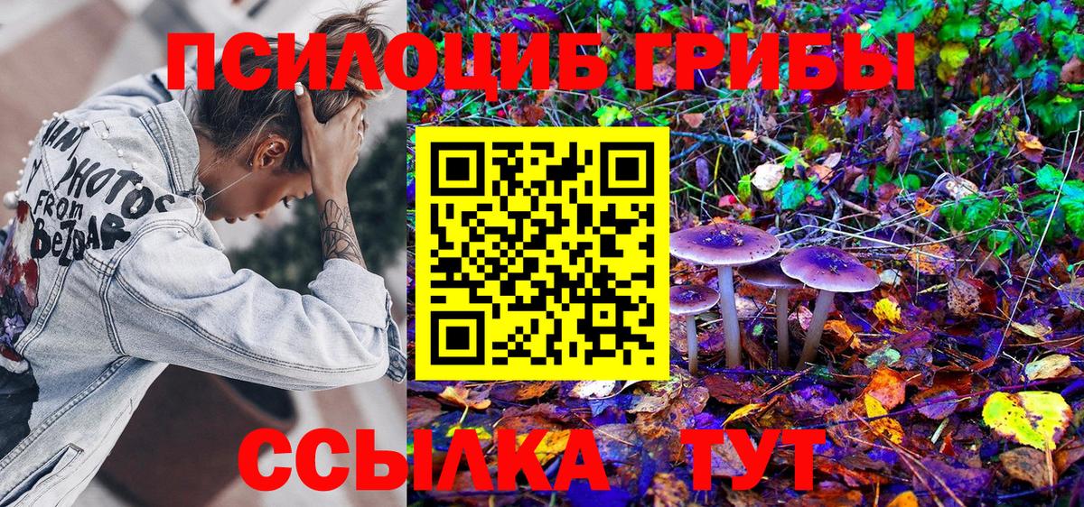 как найти наркотики  Псилоцибиновые грибы Cubensis  Вход с VPN  Калуга 